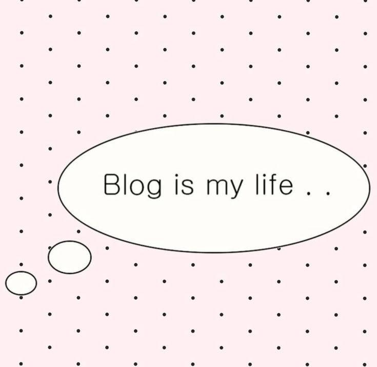 sellie..♡🍮 tweet media