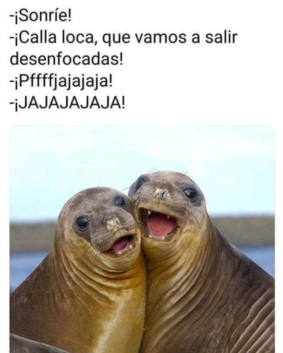 #BazkalOstekoTxorradatxuk