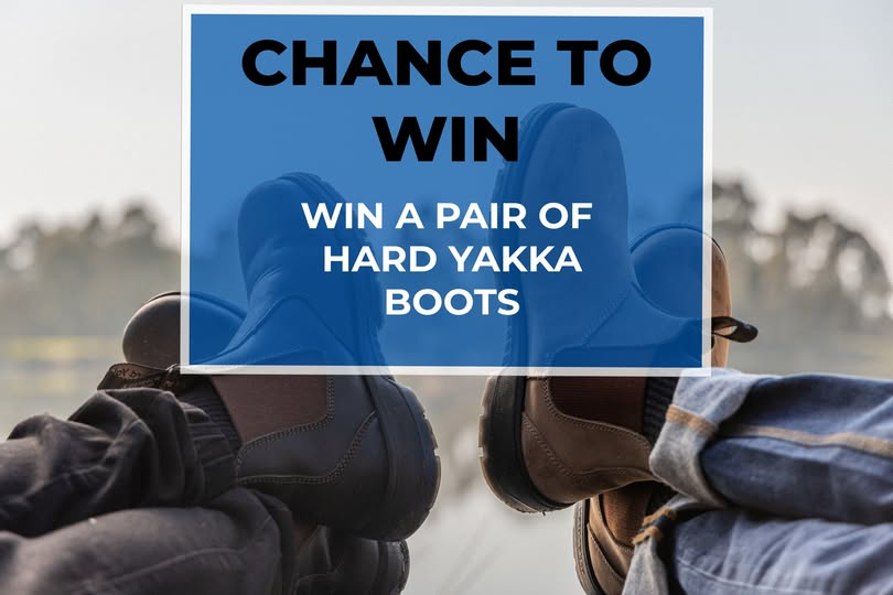 Border Plant Sales Ltd tweet media