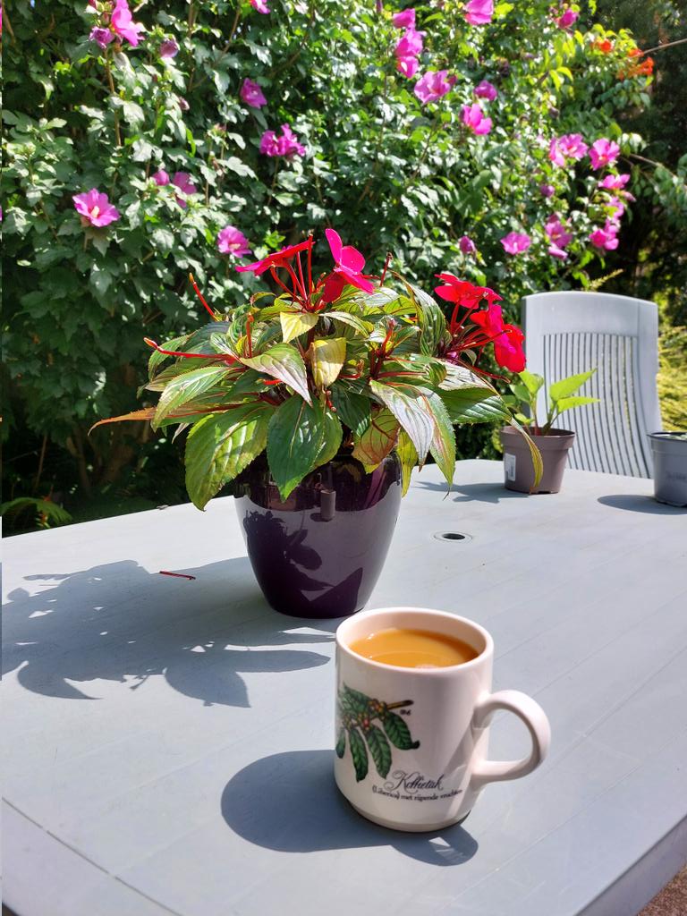 Even pauze in eigen tuin.