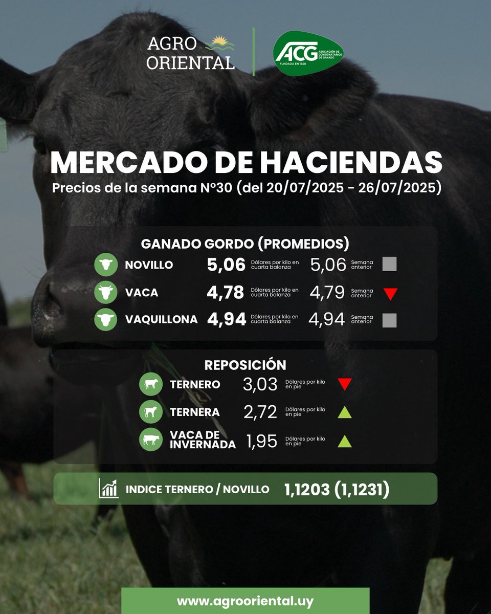🐂 𝗠𝗘𝗥𝗖𝗔𝗗𝗢 𝗗𝗘 𝗛𝗔𝗖𝗜𝗘𝗡𝗗𝗔𝗦
Precios de la semana N°30 (del 20/07/2025 - 26/07/2025)

AgroOriental, una nueva forma de ver el campo.
📲 Por más info: agrooriental.uy