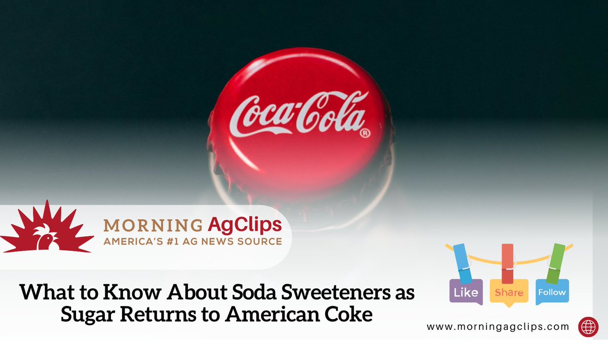 Whether a can of Coca-Cola contains one or the other, it will still be a sugary drink with about the same amount of calories and the same potential to increase well-documented health problems from obesity and diabetes

Read on: hubs.ly/Q03z3_h_0

#cocacola #foodie #health