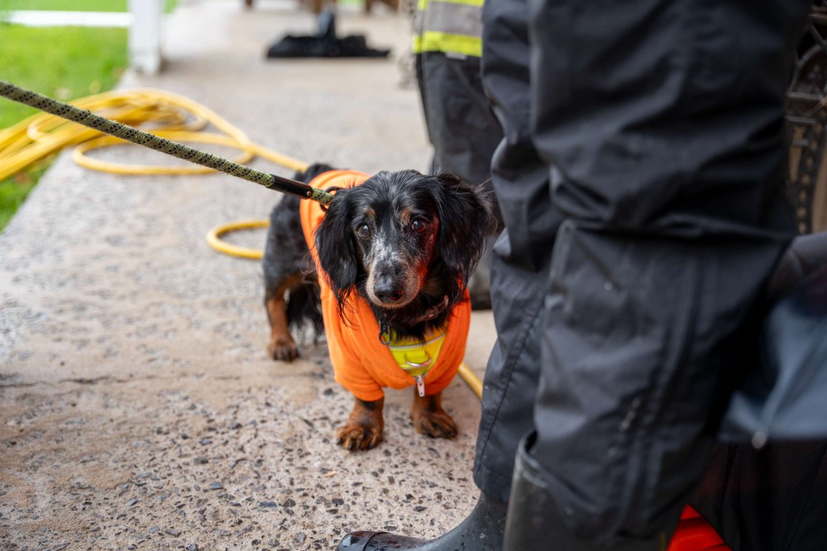 Enforcement and Regulations staff will be on-site at the Mill of Kintail on Wednesday, July 30, in an effort to educate the public on the Ontario Regulation 688/21; Rules of Conduct in a Conservation Area and the importance of having an animal on a leash. mvc.on.ca/dogs-on-leash/