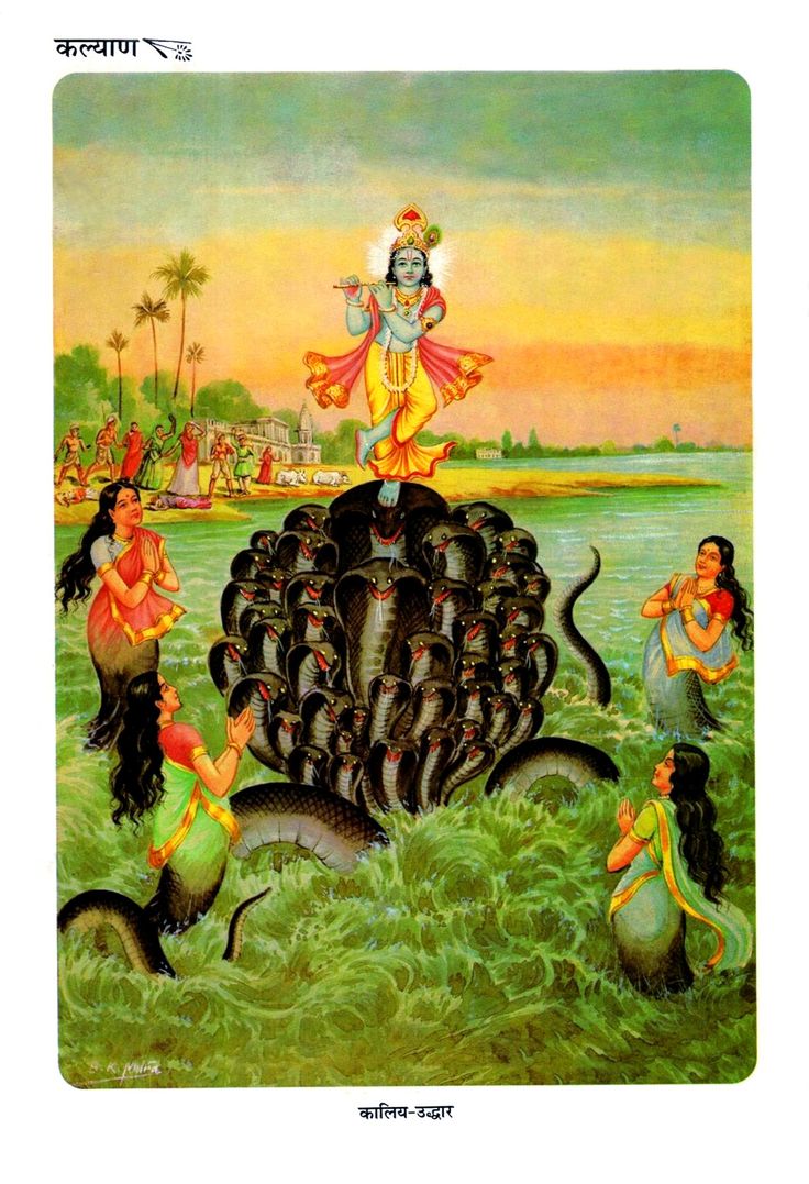 नारायण ✨