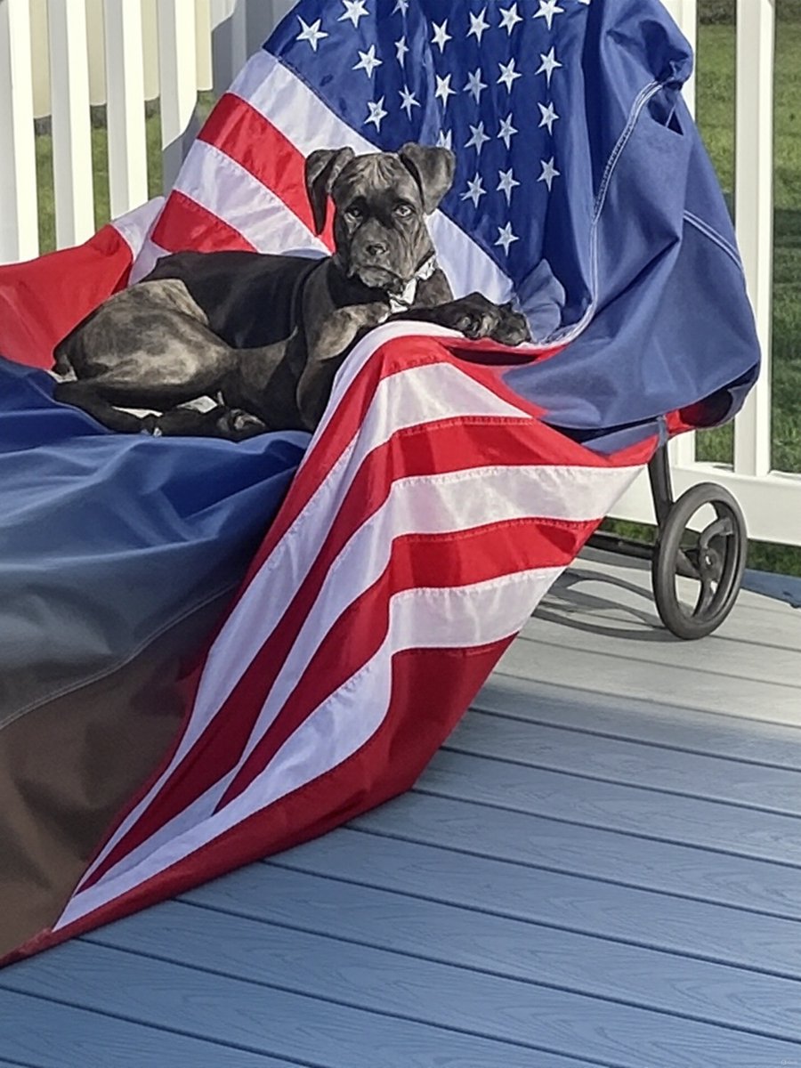 Good morning patriots