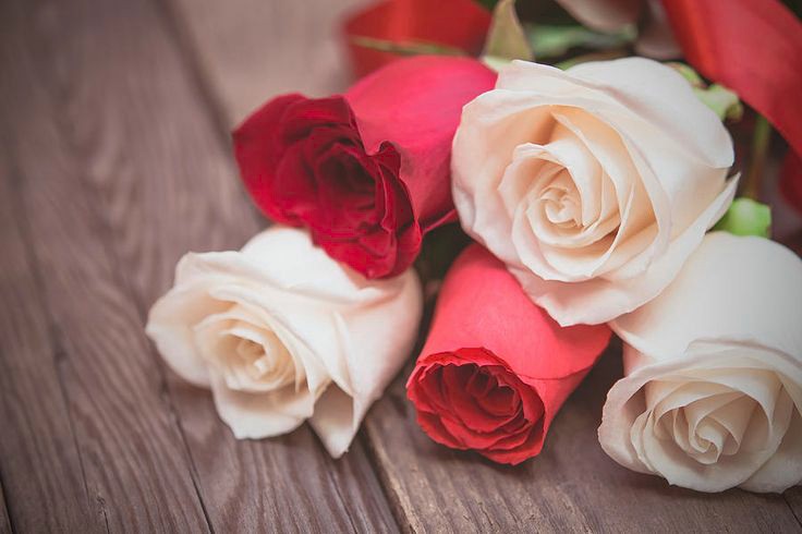 ٰ
                 عندما يأتي المساء...
         تتواصل القلوب بأرق العبارات...
وأعذب الكلمات ربما كلمه فيها سعادة الكون..
        وربما دعوه توحي بصدق المحبه...
                  مساڪم سعاده.❤️