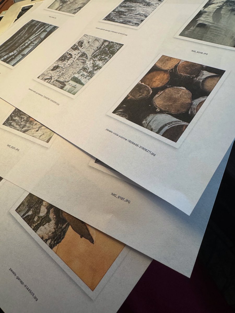 MandeLiterary's tweet photo. I love this part: matching themed images to words. https://t.co/PBa8KEFLwI