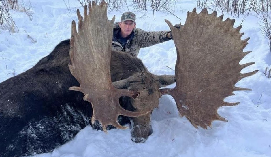 A reminder that trophy hunters are SCUM! 😡

This hunter thought it was fun to kill this stunning Moose. They always take the best animals which negatively impact the genetic health and social structures of that animal’s population!!

Ban #TrophyHunting NOW!