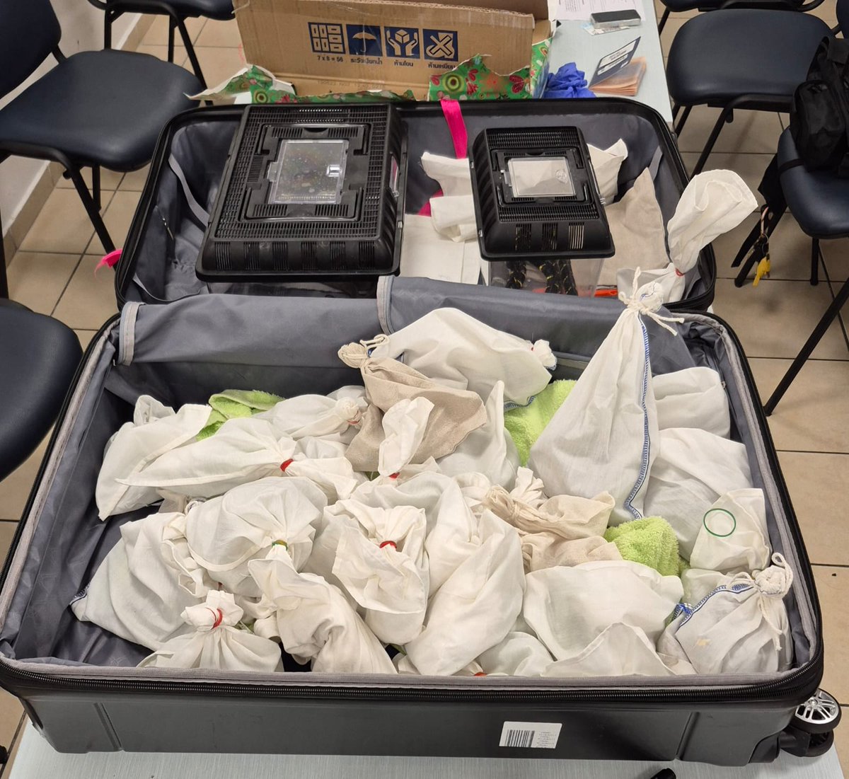 מזוודה אחת עם 140 זוחלים: בודקי המכס בנתב"ג סיכלו היום ניסיון הברחה של כ-140 בעלי חיים מתאילנד – כולל נחשים, לטאות, עקרבים ואיגואנות, ודחסו הכול למזוודה אחת. אחד הנחשים לא שרד.  
החשוד, תושב י-ם, נחקר ע"י רט"ג, בגין פגיעה בטבע ועבירות סחר בלתי חוקיות. החיות הועברו לטיפולנו.