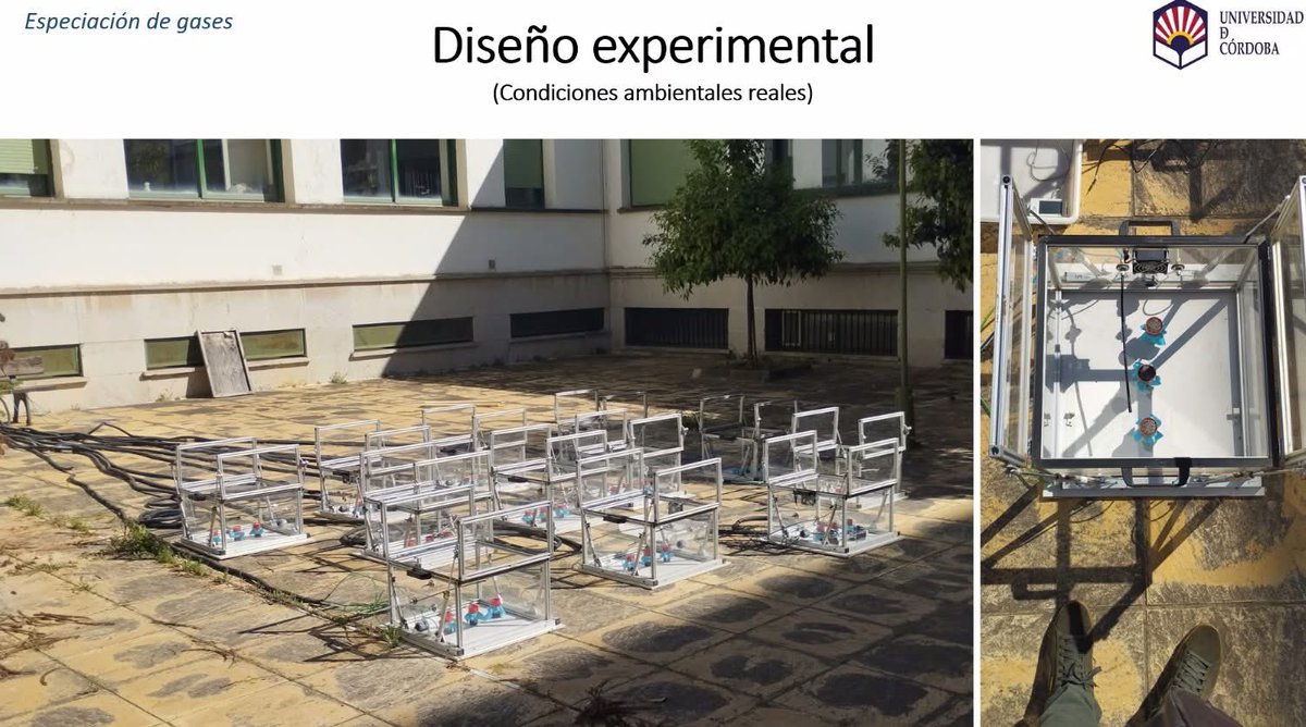 ¿Sabías que los gases de granjas, como el metano, pueden ser aprovechados? #AgroConectaOVA

Esta tecnología permite: 

✅ Reducir la huella de carbono del sector. 
✅ Disminuir la dependencia de fertilizantes sintéticos. 
✅ Cerrar ciclos de nutrientes de forma local. #Ganadería