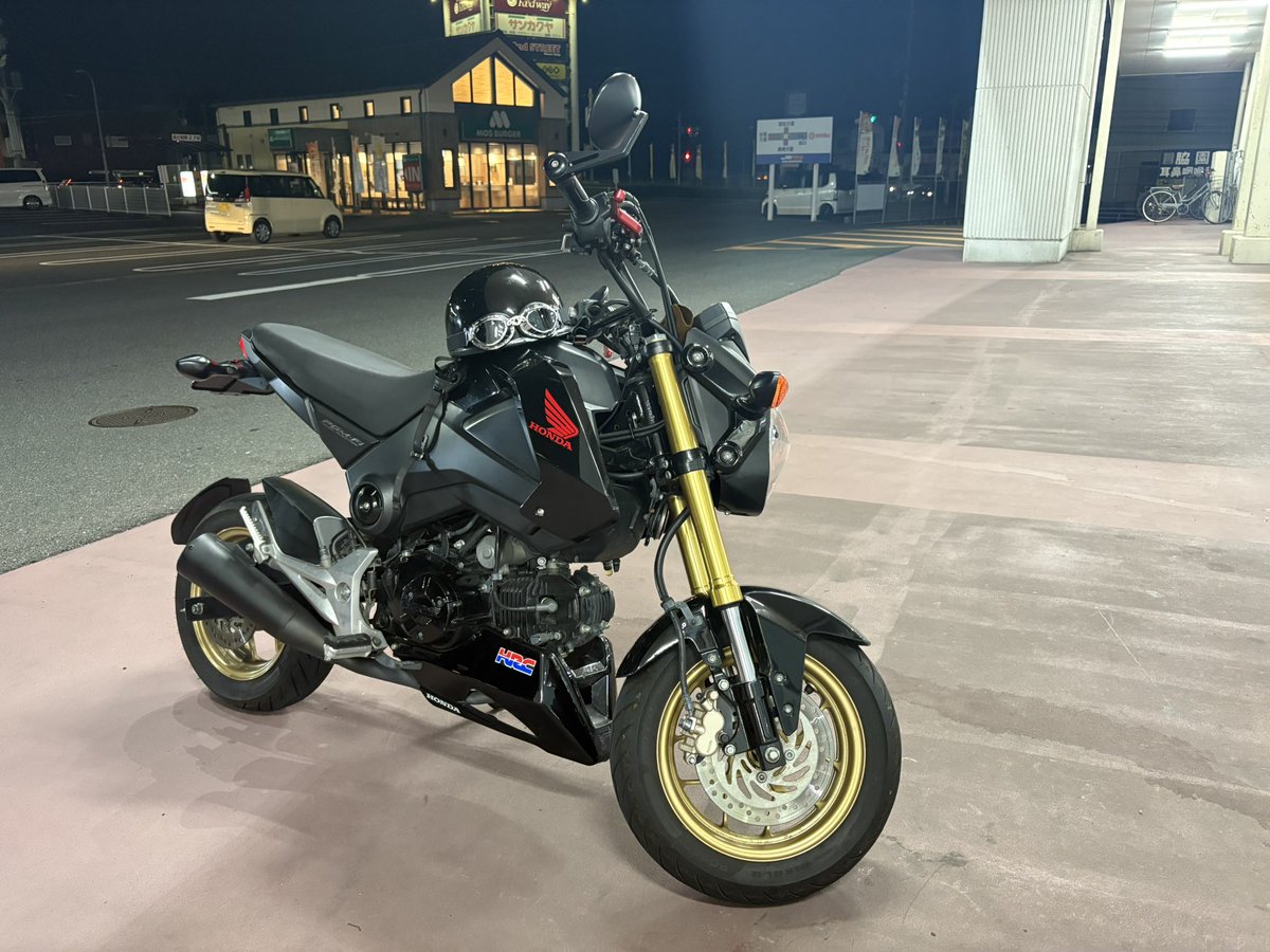 にゃんたろう にゃんたろうのおさんぽシリーズ！ | 龍玄としオフィシャル