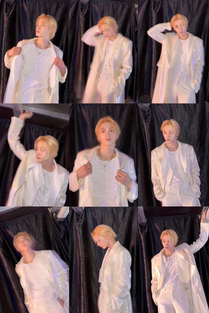 TSJAEM7N's tweet image. my cheese cat is in a white suit  ݁₊ ⊹ ✦