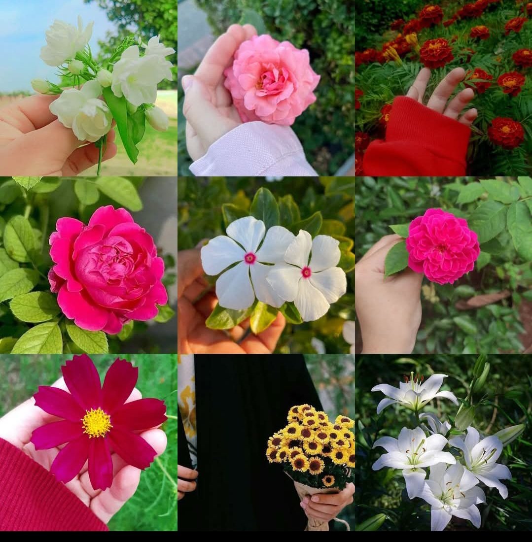 #ملک_پرموشن
🥀<a href="/guljnt/">گُل جنت🌷</a>
Special🍃
<a href="/ait9t/">꧁Farah🕊️ᴾᵃᵏᴾᵒʷᵉʳ</a>
<a href="/_1rhe/">شازیہ</a>
<a href="/_zb_0/">زینبــــ</a>
<a href="/TP7i1/">★☯𝑩𝒉𝒂𝒊༒〄</a>
<a href="/Fat9T/">Arshia🥀🍂</a>
<a href="/1fzalI/">💓PTI ACCOUNTS PROMORTER💓</a>
<a href="/1fazl2/">فضـ𝓪𝓴𝓫𝓪𝓻ـل</a>
<a href="/2Snbr/">𝓢𝓪𝓭𝓲𝓪 𝓜𝓪𝓵𝓲𝓴</a>
<a href="/11iasd/">Ali Asad</a>
<a href="/Pir_80/">Peer Shb</a>
<a href="/Ghz35/">🇬 🇭 🇦 🇿 🇦 🇱 🇦 🇭</a>
<a href="/Ghz97/">✪𝗚𝖍𝖆𝖟𝖆𝖑𝖆𝖍 𝗦𝖆𝖉𝖆𝖋✪</a>
<a href="/jitin84/">Jitin Sharma</a>
<a href="/1arshd/">𝗔𝗿𝘀𝗵𝗱 𝗠𝗹𝗶𝗸💫👑</a>
<a href="/NK_pti/">𝒜𝓏𝒶𝒹 🇵🇰</a>
<a href="/ZK__35/">ZK</a>
<a href="/01rshd/">ارشـــد مــلــک❤️</a>
<a href="/1Arshii/">𝓐𝓻𝓼𝓱𝓲𝓪 🦋</a>
<a href="/111mn1/">🐬آمنہ ملک🦋</a>
<a href="/0Sehrr/">سحر ملک 🕊️🦋</a>
<a href="/sehr_ik/">سحر ملک 🦋🦋</a>
<a href="/glmsjd/">𝑺𝒂𝒋𝒋𝒂𝒅 ✨</a>
<a href="/_NM40/">Nabeel Zaffar</a>
<a href="/shz787/">🌟⭐️🌟🌟sʜᴀʜᴢᴀᴅ ᴍᴜɴɪʀ🌟⭐️🌟⭐️</a>
<a href="/1shobii/">𝑺𝒉𝒐𝒂𝒊𝒃 𝑶𝒇𝒇𝒊𝒄𝒊𝒂𝒍</a>
<a href="/1Sehar_/">𝐒ҽԋαʀ 👑</a>
<a href="/Snam5_/">🍁Sanam🍁</a>
<a href="/0Hyyat/">حیات فاطمہ ✨</a>
<a href="/01Mllik/">𝙈𝘼𝙇𝙄𝙆 𝙅𝙄💫💙</a>
<a href="/Punj143/">𝓙𝓾𝓽𝓽 💕 🇵🇰</a>
<a href="/Hurain_5/">Hurain 💞حورین</a>