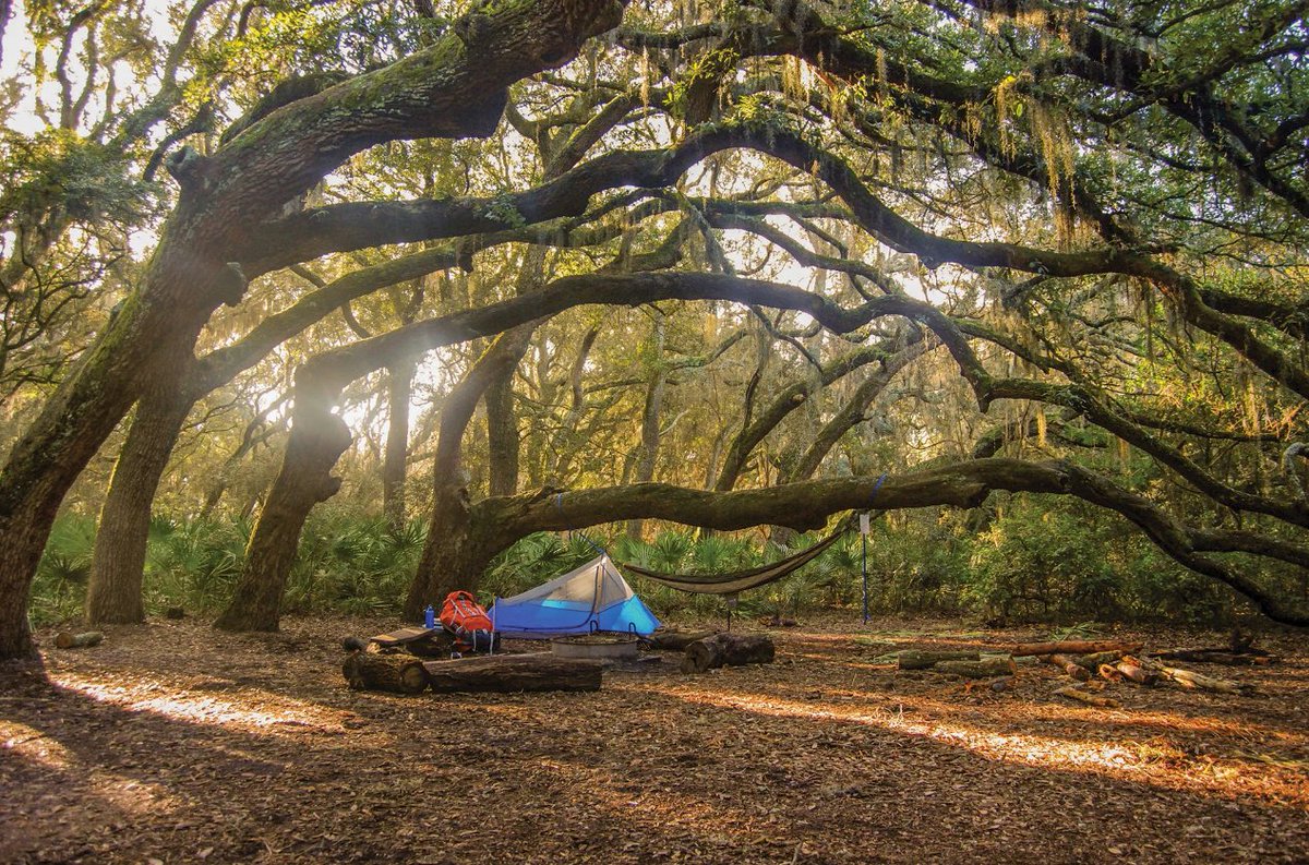 Georgia's Cumberland Island was included as a congressionally designated National Seashore in 1972. Over $42.5M from #LWCF has helped to create this spectacular 34k acre outdoor recreation destination for camping, boating, fishing and biking.