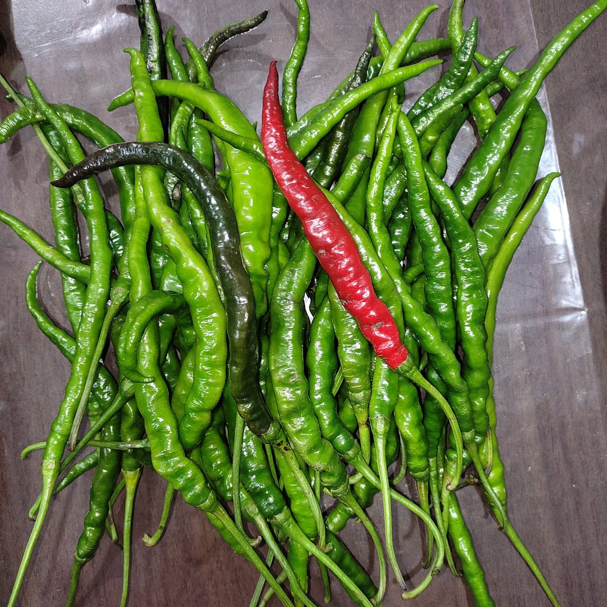 OuroKenobi's tweet image. With Love from Sirarakhong 💗

The GI-tagged Sirarakhong Hathei chillies from Ukhrul district, Manipur. 

Good with pork/chicken — famous for their exceptional taste, captivating aroma, rich cultural significance..
