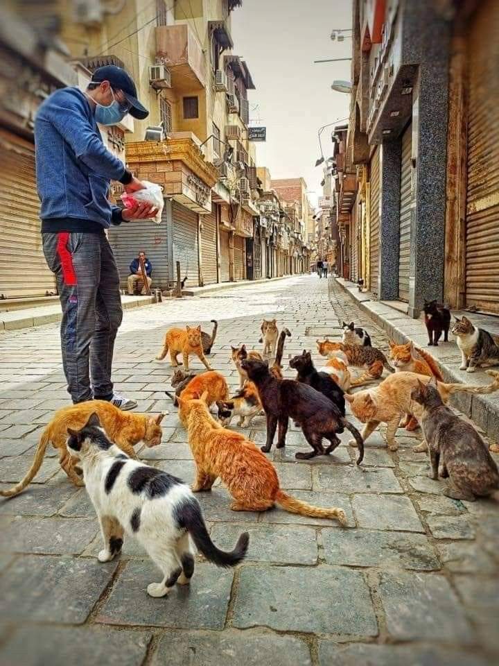 raway_alqasid's tweet image. &quot;لا المَالُ يَبقَـىٰ وَلَا الأروَاحُ خَالِدَةٌ
لَا شَيءَ يَبقَىٰ سِوَىٰ ذِكرَاكَ والأَثَرِ&quot;