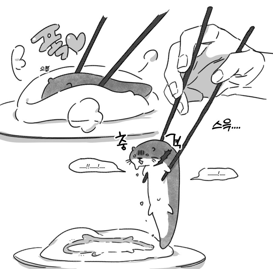 스핀에 그렸던 밀가루 묻힌 수달