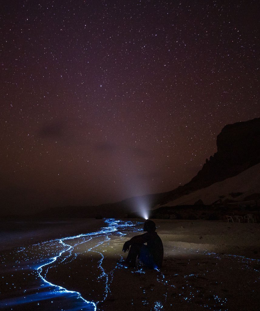Socotra Island, Yemen 🇾🇪