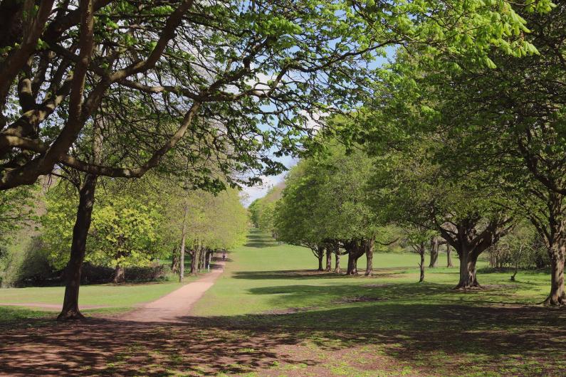 The final version of the Norton Common GAP 2025-2030 has been uploaded to our website.

Please find it here: north-herts.gov.uk/norton-common