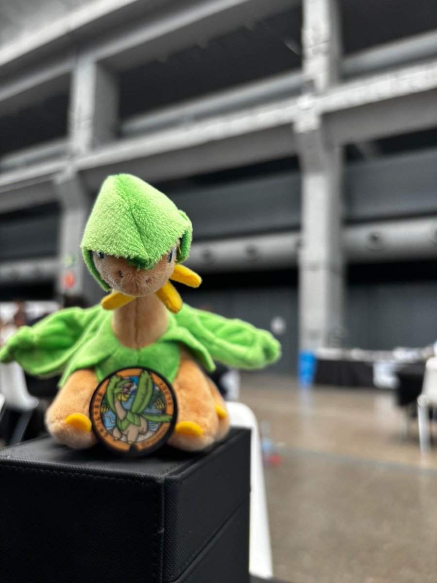 Malibú Tropius (@malibu_tcg) on Twitter photo 🌴ANUNCIO🌴
Vamos a participar en el Spain Battle Royale cortesía de <a href="/torrequemadatcg/">Torre Quemada | Un Pódcast de Pokémon TCG</a> con estos 2 equipazos
🌴MALIBÚ TROPIUS🌴
<a href="/emiliojm17/">Emilio José Montoro</a>
<a href="/imSelfishs/">Alejandro González</a>
<a href="/elsasatcg/">Unai ElSasa</a>
<a href="/krsenseii/">krsenseii</a>
<a href="/alonsete_7/">Alonso</a>
🌻ACADEMIA SUNKERN🌻
<a href="/V_de_Vaz/">Vaz</a>
<a href="/ChemaSF_/">Chematado</a>
<a href="/AlexFelices/">Alex Felices ☕</a>
<a href="/_DMaza/">David</a>
<a href="/Piratilla_98/">Kike</a>
#MalibuWin🌴 🌴ANUNCIO🌴
Vamos a participar en el Spain Battle Royale cortesía de <a href="/torrequemadatcg/">Torre Quemada | Un Pódcast de Pokémon TCG</a> con estos 2 equipazos
🌴MALIBÚ TROPIUS🌴
<a href="/emiliojm17/">Emilio José Montoro</a>
<a href="/imSelfishs/">Alejandro González</a>
<a href="/elsasatcg/">Unai ElSasa</a>
<a href="/krsenseii/">krsenseii</a>
<a href="/alonsete_7/">Alonso</a>
🌻ACADEMIA SUNKERN🌻
<a href="/V_de_Vaz/">Vaz</a>
<a href="/ChemaSF_/">Chematado</a>
<a href="/AlexFelices/">Alex Felices ☕</a>
<a href="/_DMaza/">David</a>
<a href="/Piratilla_98/">Kike</a>
#MalibuWin🌴