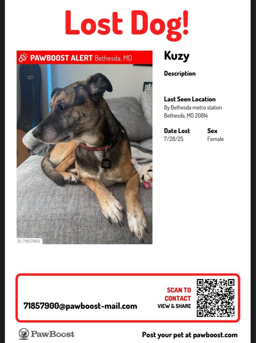 My world is shattered. Please, if you have any information about Kuzy, reach out to me.

Last seen by Bethesda Metro station around 11:50 pm last night. Hasn’t come home.
