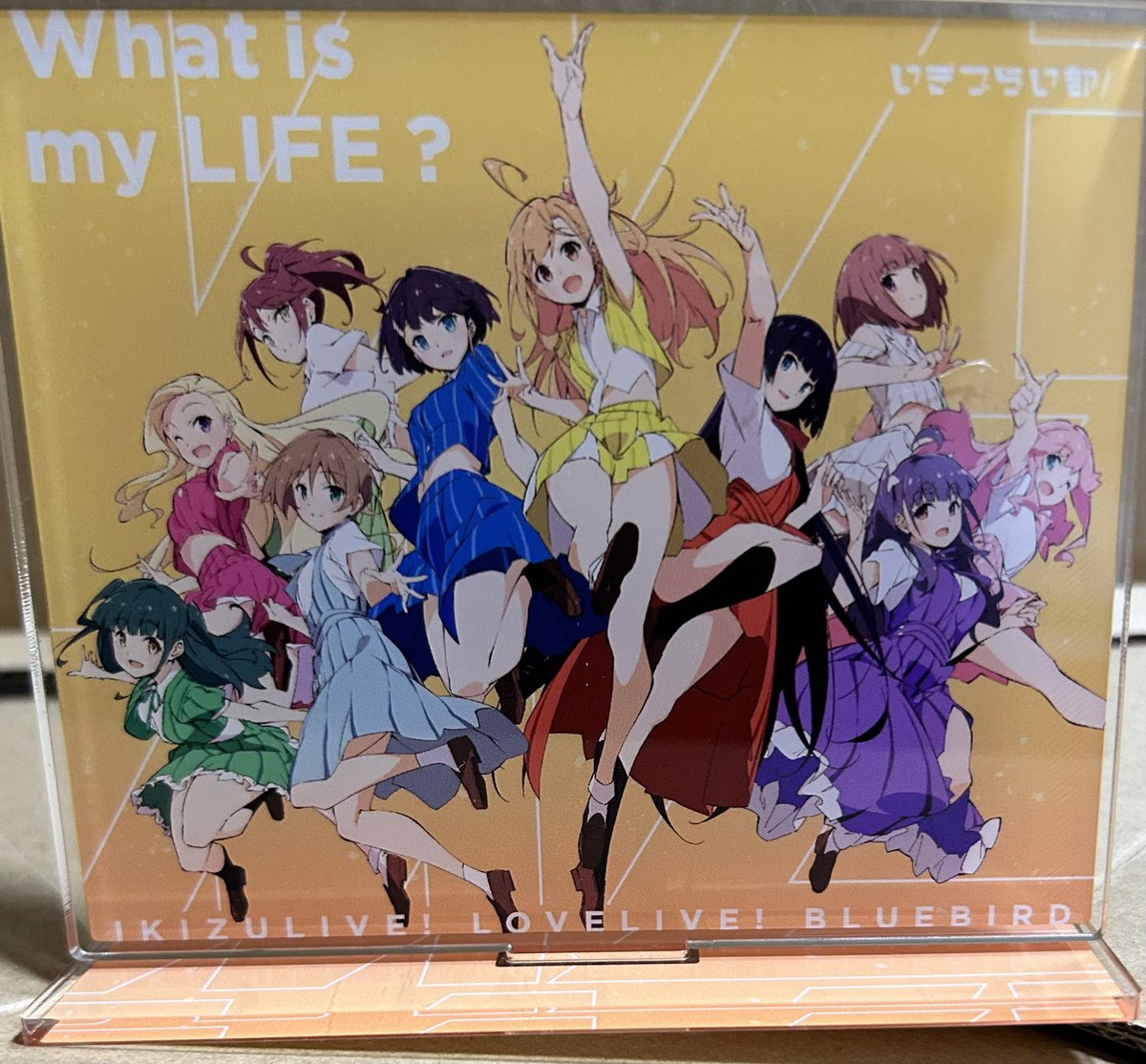 まーくんさま専用 Feeling's シルヴィコケ 5枚組