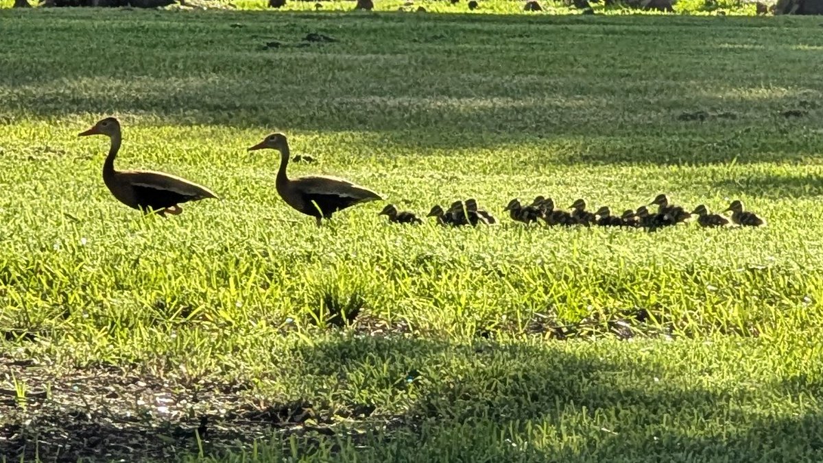 Daren Welsh tweet media