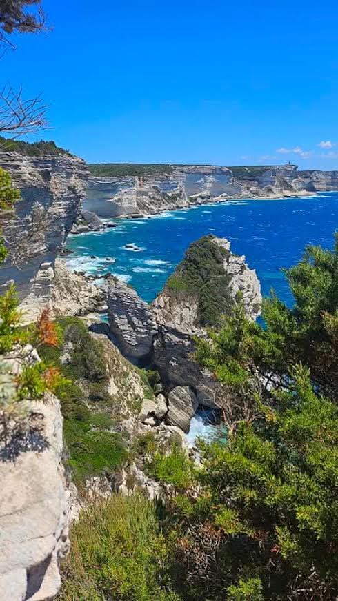 Karen Tabbal (@gholamkaren) on Twitter photo 