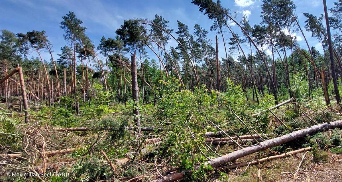 TorKUD.de tweet media