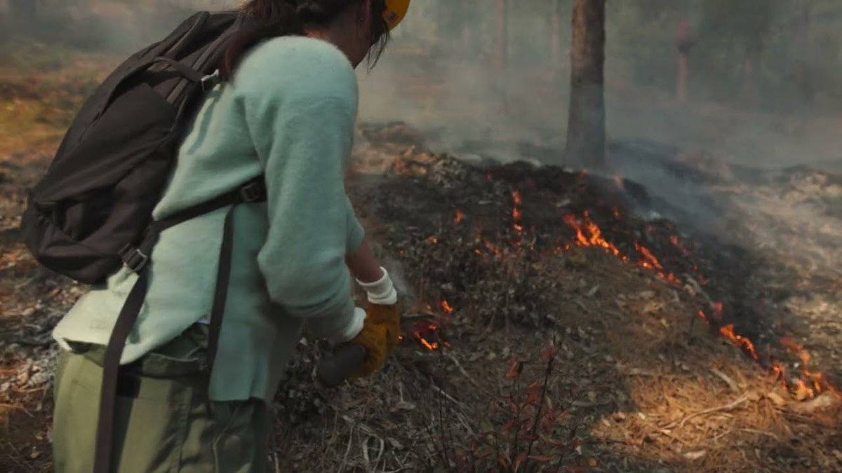 CAfirescience (@cafirescience) on Twitter photo 🔥 New video alert! Meet our partners <a href="/PlacerRCD/">Placer Resource Conservation District</a> and their community-led prescribed fire program, which empowers residents to use fire for land stewardship and wildfire resilience.
Watch now: youtu.be/K0Fioqh47x4 🔥 New video alert! Meet our partners <a href="/PlacerRCD/">Placer Resource Conservation District</a> and their community-led prescribed fire program, which empowers residents to use fire for land stewardship and wildfire resilience.
Watch now: youtu.be/K0Fioqh47x4
