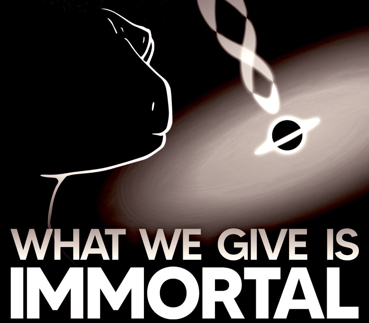 Sharpmatik's tweet image. Exposing Insiders Alpha of @GalacticGeckoSG 

The instant 2x of Geckos was still ALPHA a bit ago: 
   5sol  to 10sol in 24hr

Now it’s gone Viral but insiders ALPHA did not!

On to insiders ALPHA, keep reading - Thread👇