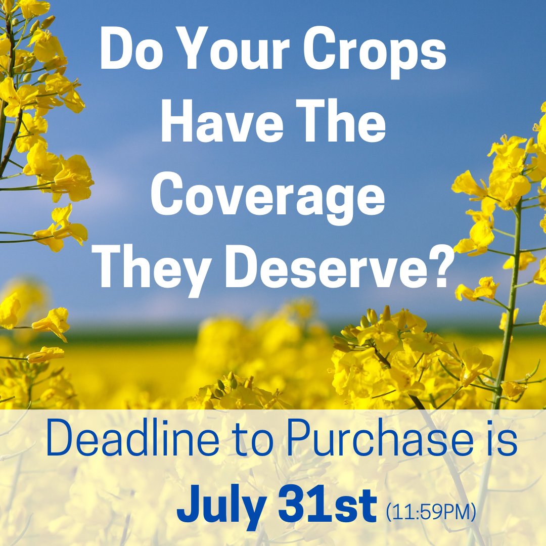 AGDirectHail tweet media