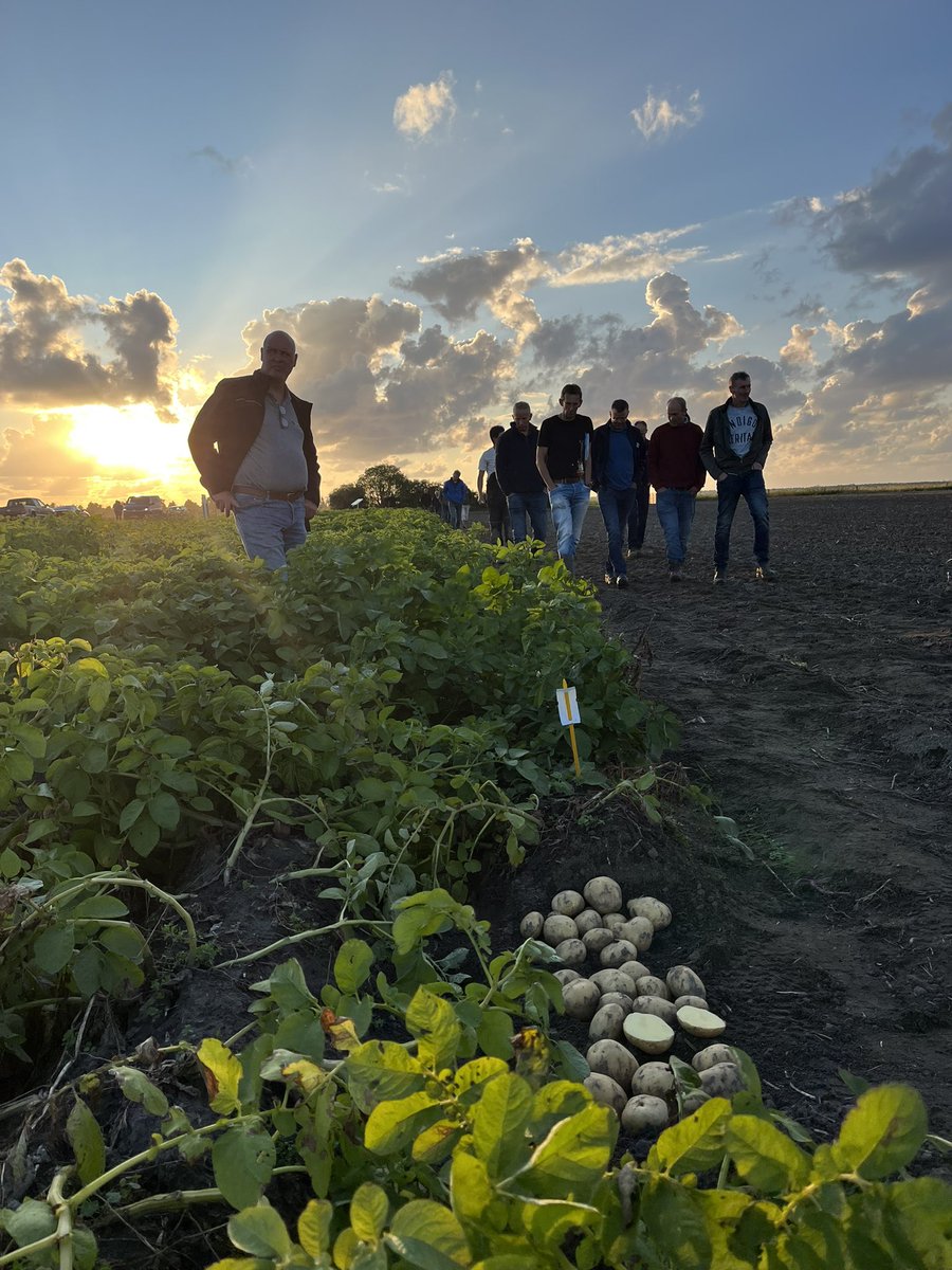 Egbert Jonkheer (@duurzaamtelen) on Twitter photo 