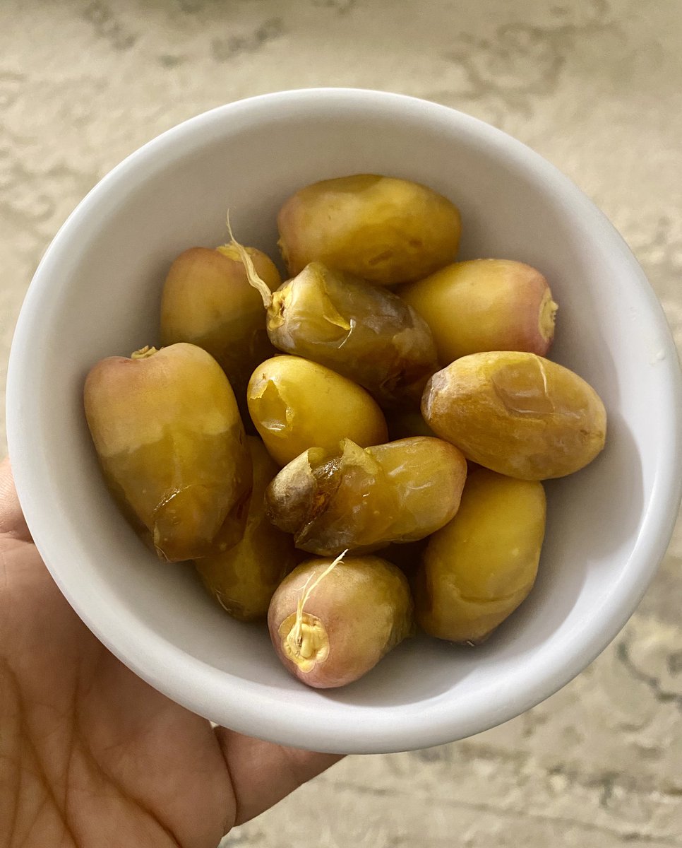 بلح بريمية اول مرة اسمع فيه