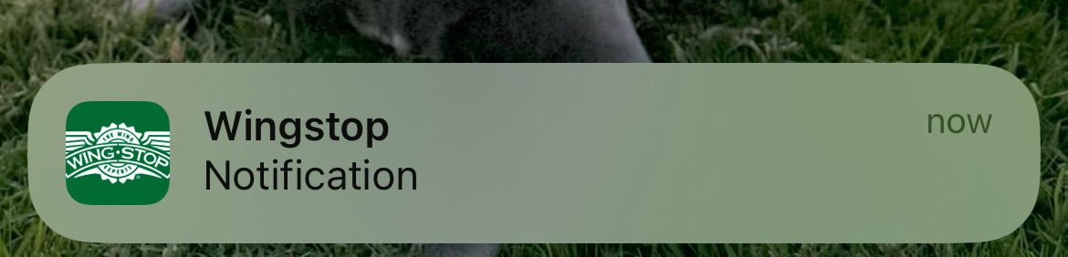 Omgg baeee leave me alone🙄🙄🙄🙄