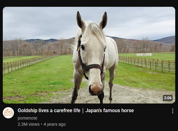 I saw one clip on here and then...
All I see is this horse...

I have learned more about this horse than I thought I ever will LOL