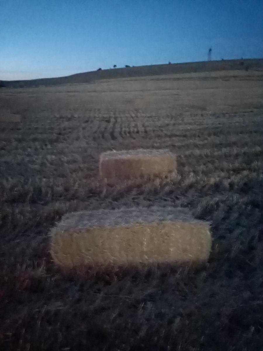 Sabah 7 akşam 6 çalışan kamu işçisiyim
İş çıkışı da balya çekmeye giderim 3-5 kuruş kazanmak için.
#Kamuişçileri
Ergün Atalay gör bunları gör