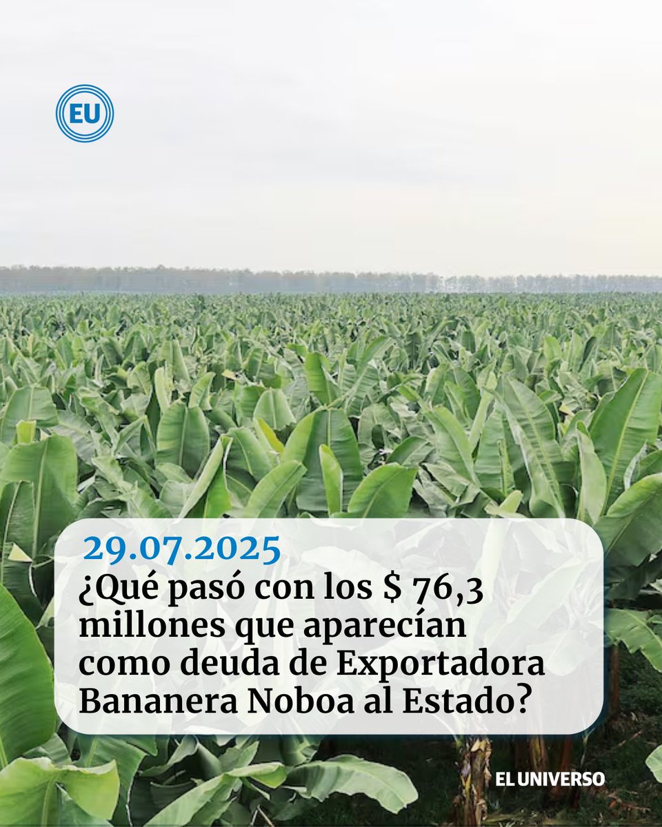#BananeraNoboa | Lo que debe la empresa de la familia del presidente de la República #DanielNoboa se redujo de $98 millones a $21,7 millones. ow.ly/stq050WwVOy