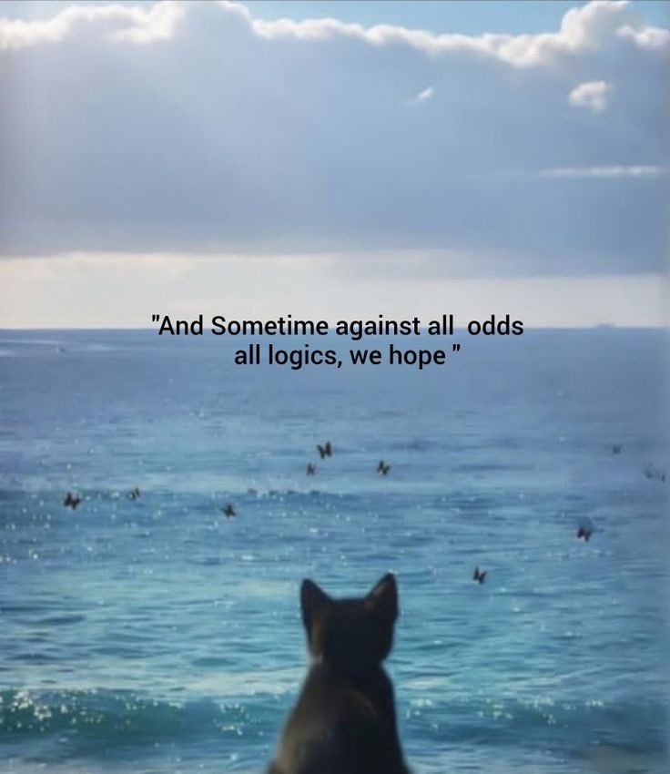 we hope!