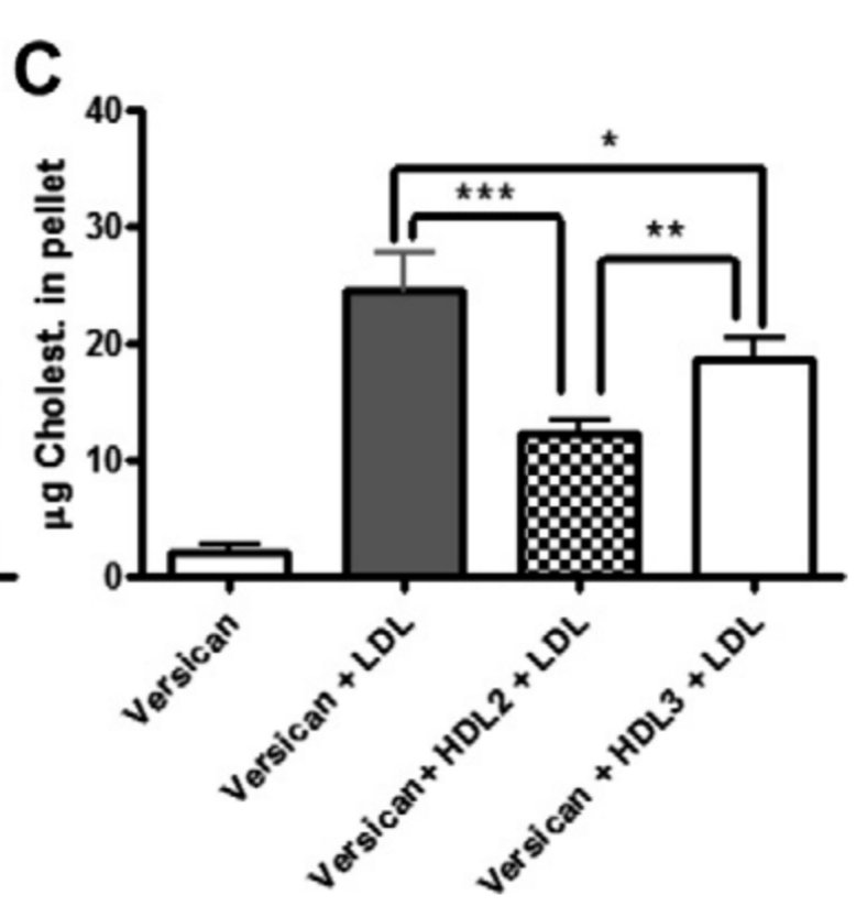 ☺️*In conditions like the dyslipidemia of IR, with depletion of large HDL2, protective properties of the HDL class can be compromised"

🤓"We speculate that if present in vivo, this phenomenon may contribute to the athero-protective role of high circulating levels of HDL2"