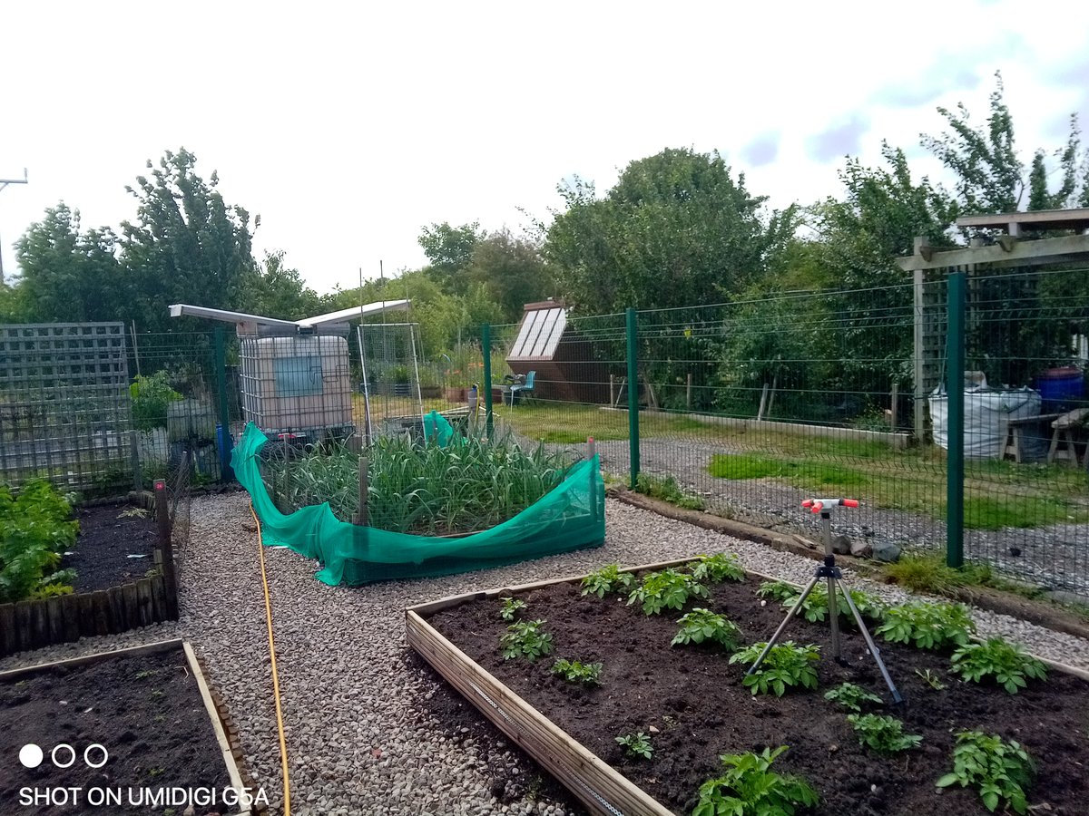 Community Heart tweet media