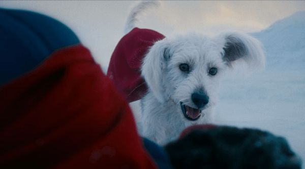 James Gunn’s Superman offers nostalgia, strong performances, and cinematic spectacle, but may leave newcomers feeling lost. 
sunsetnerdverse.com/snv/superman-2…