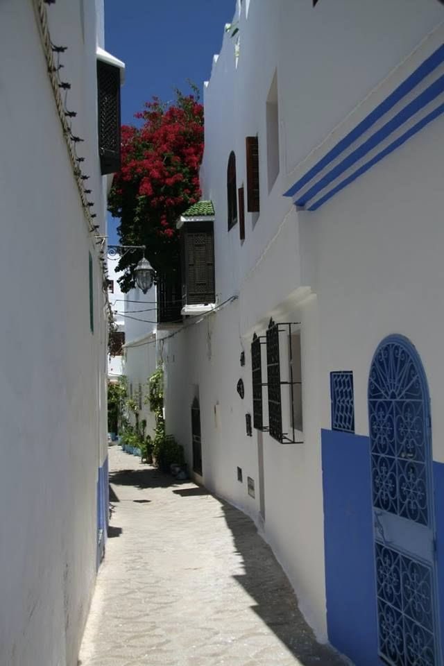 Vintage Morocco (@moorskingdom) on Twitter photo Alleys of Assilah • Morocco Alleys of Assilah • Morocco