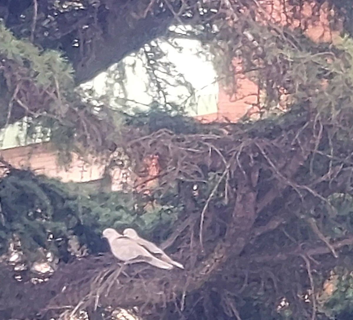 Maria Lea tweet media