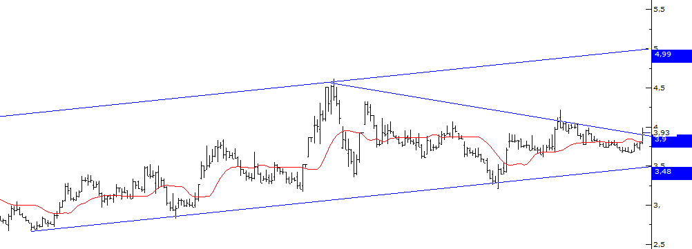 #formt seanslık görünüm