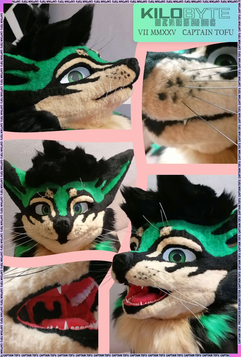 Say Hello to 'Kilobyte v2'!
With that being the second Head Commission for <a href="/KilobyteFox/">Memory Leak</a> I was able to improve on a few things, such as Whiskers and a wider Mouth. ^^

Also thanks to him for always merging my Pictures together into a nice looking Collage &lt;3
#fursuit #Rexouium