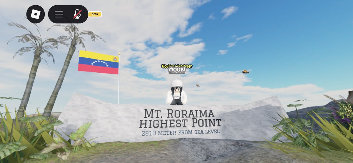 toorutly's tweet photo. mt roraima jauh banget kocak https://t.co/43STknvBiX