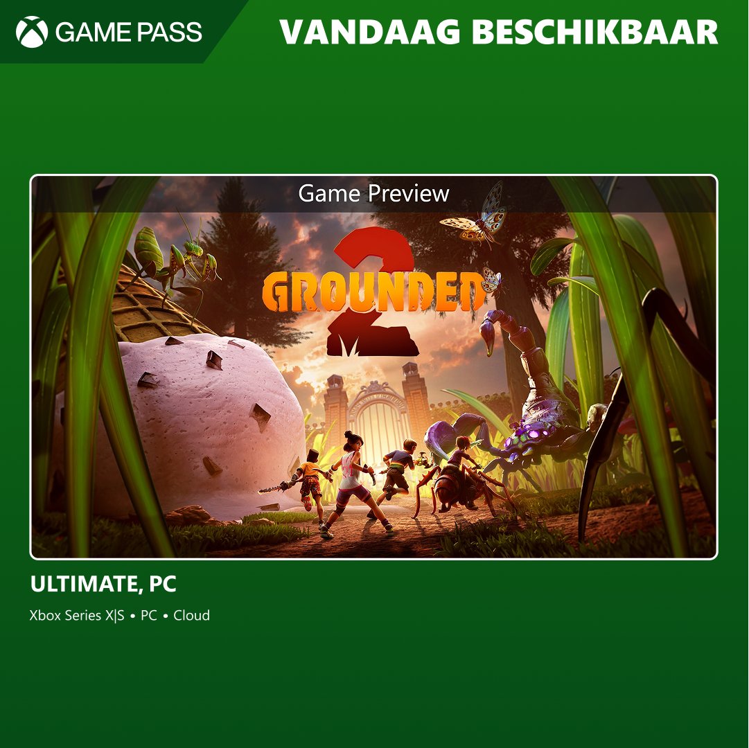 een spoor van mieren kan maar één ding betekenen... 🐜🐜🐜