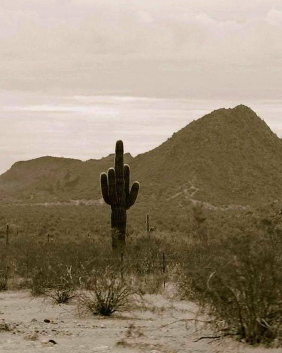 web.jpg (@webjpg) on Twitter photo 