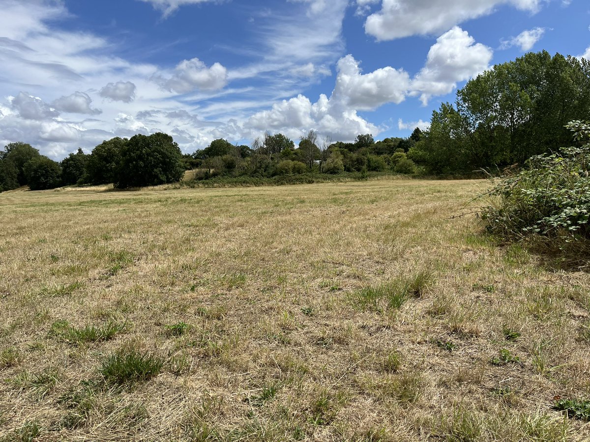 Tristan Cork Post tweet media